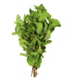 HORTELA UN